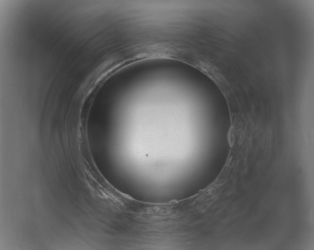 X0000067920338200604201436