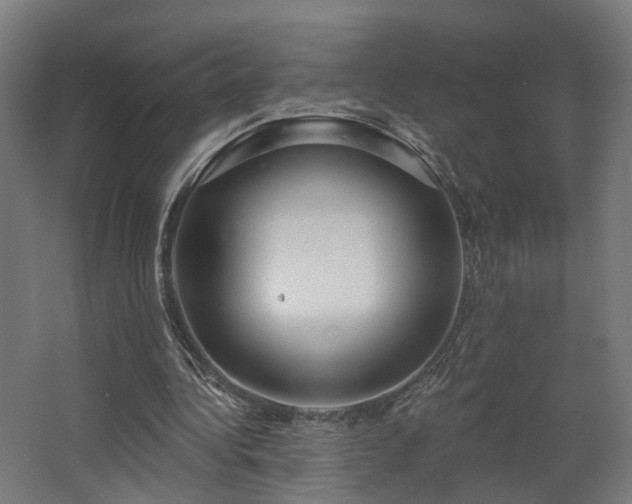 X0000067920340200604201436
