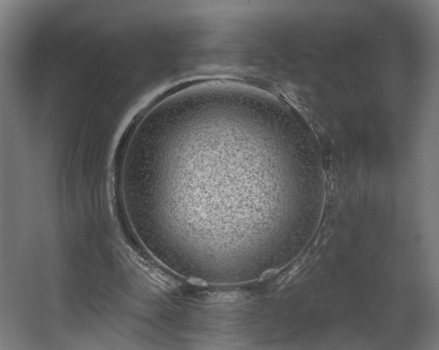 X0000067920342200604201436