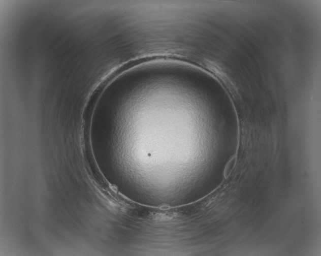 X0000067920346200604201436