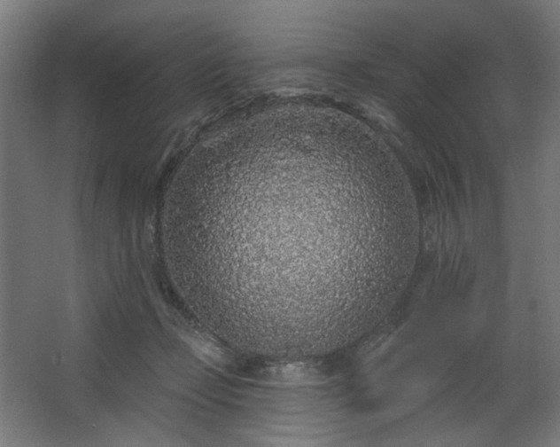 X0000067920365200604201436