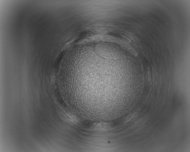 X0000067920367200604201436