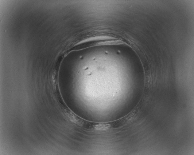 X0000067920373200604201436