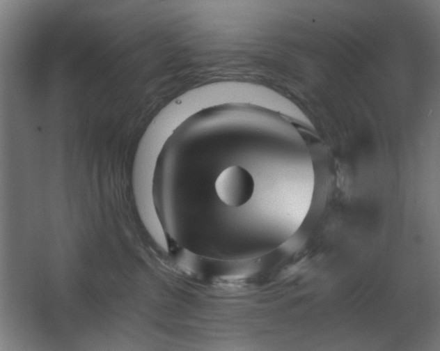 X0000067920380200604201437