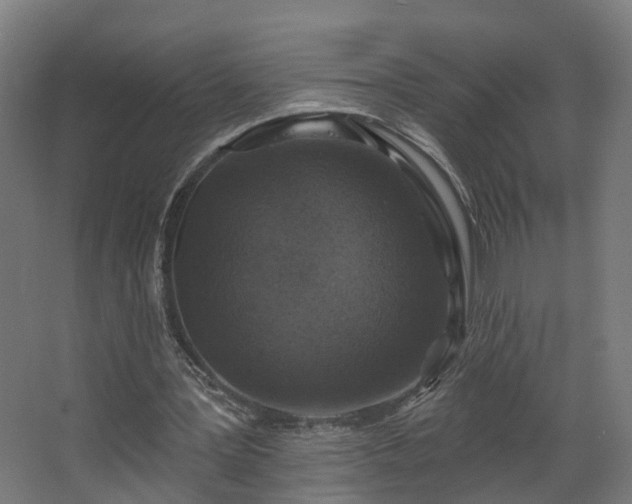 X0000067920387200604201436