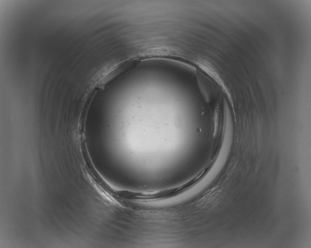 X0000067920389200604201436