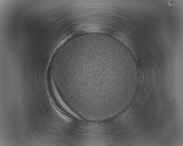 X0000067920390200604201436