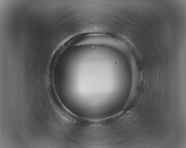 X0000067920392200604201436