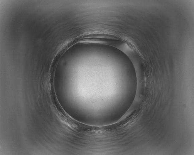 X0000067920395200604201436