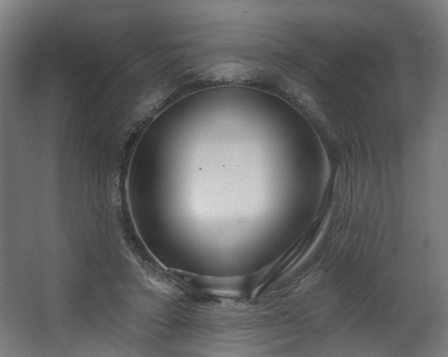X0000067920403200604201436