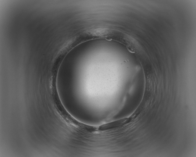 X0000067920404200604201436