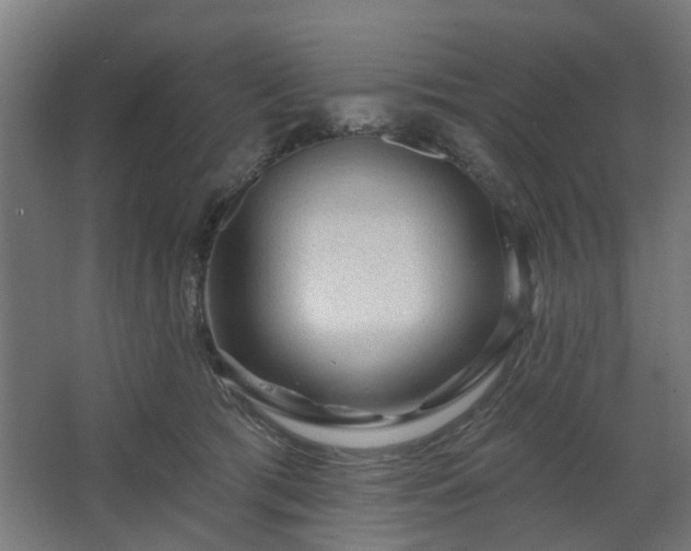 X0000067920417200604201435