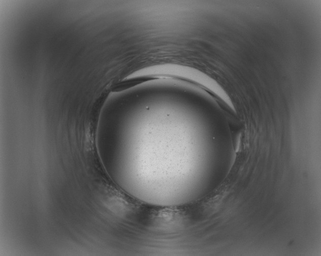 X0000067920420200604201435