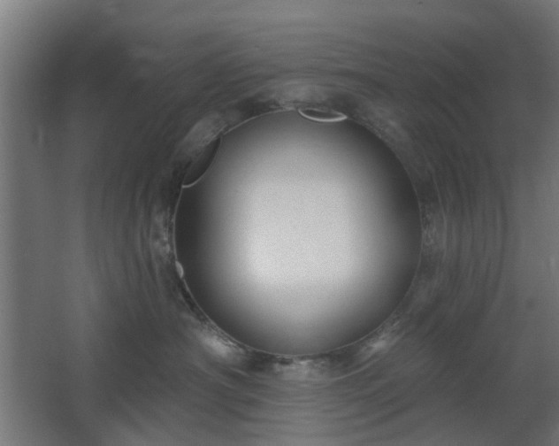 X0000067920430200604201435
