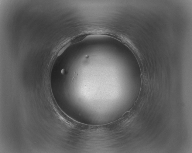 X0000067920433200604201434