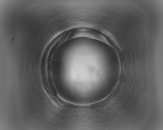 X0000067920436200604201434