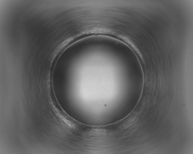 X0000067920437200604201434