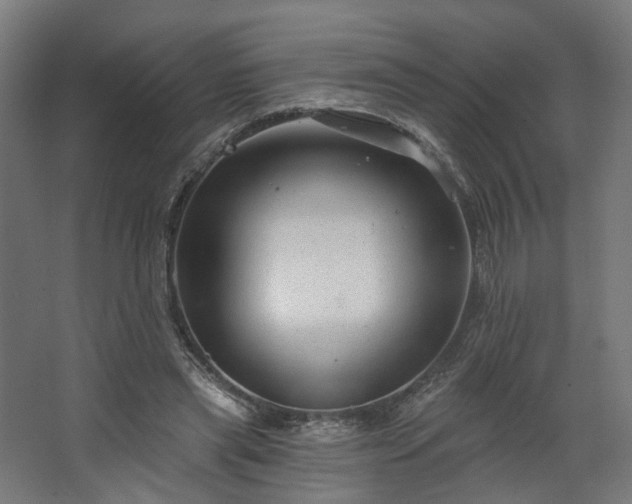 X0000067920445200604201434