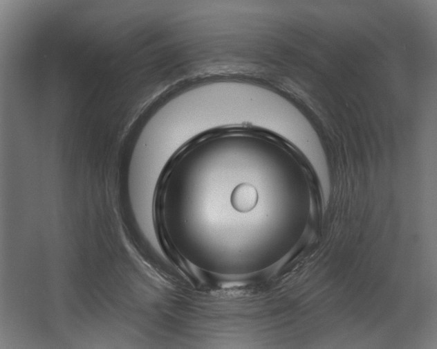 X0000067920448200604201434