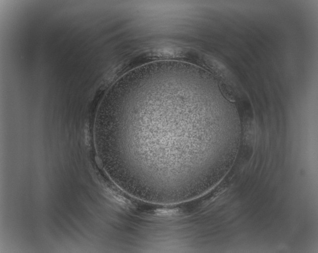 X0000067920457200604201435