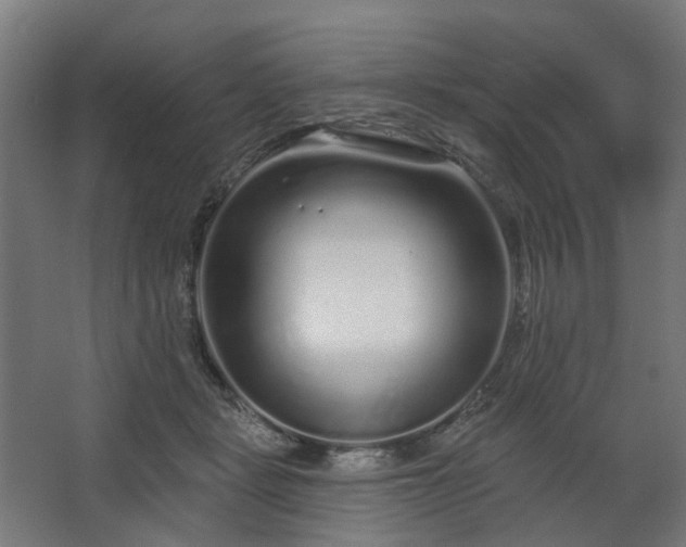 X0000067920461200604201435