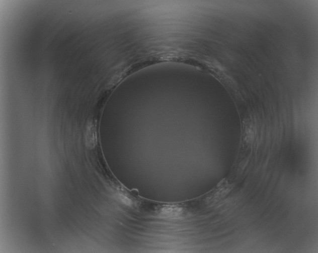 X0000067920471200604201435