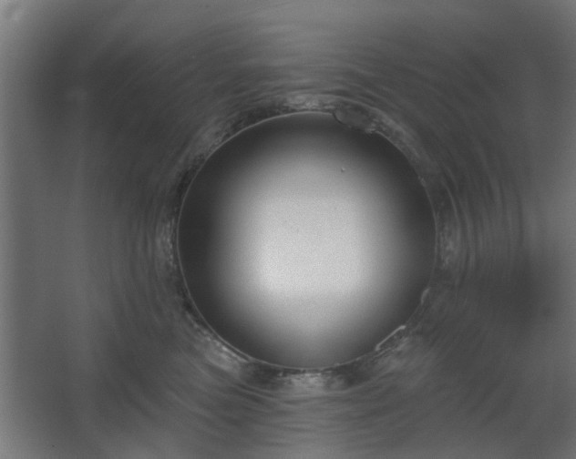 X0000067920473200604201435