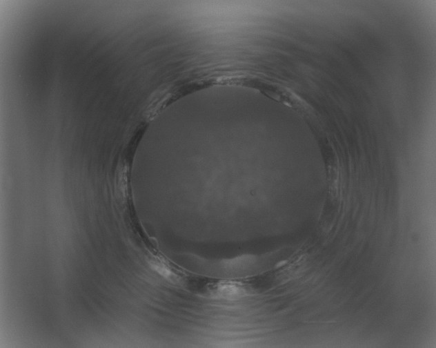 X0000067920475200604201435
