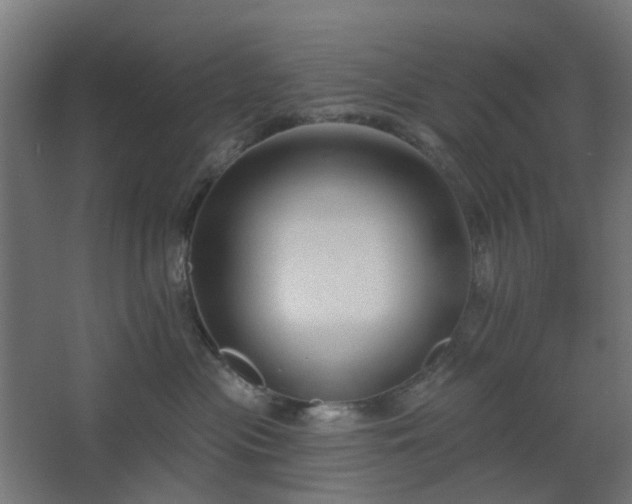 X0000067920477200604201435