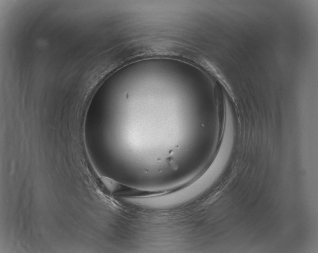 X0000067920481200604201434