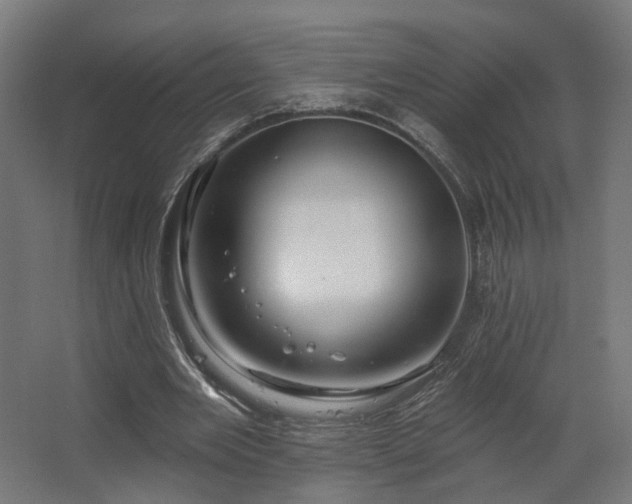 X0000067920485200604201434