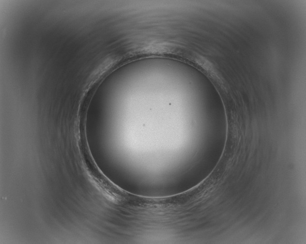 X0000067920486200604201434