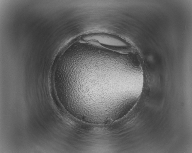X0000067920487200604201434