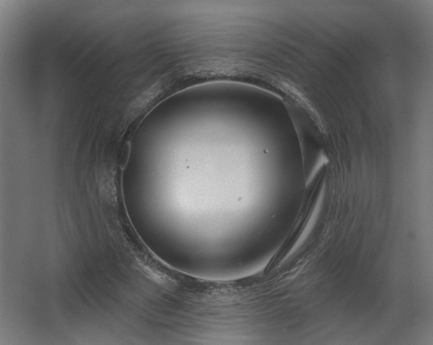 X0000067920489200604201434