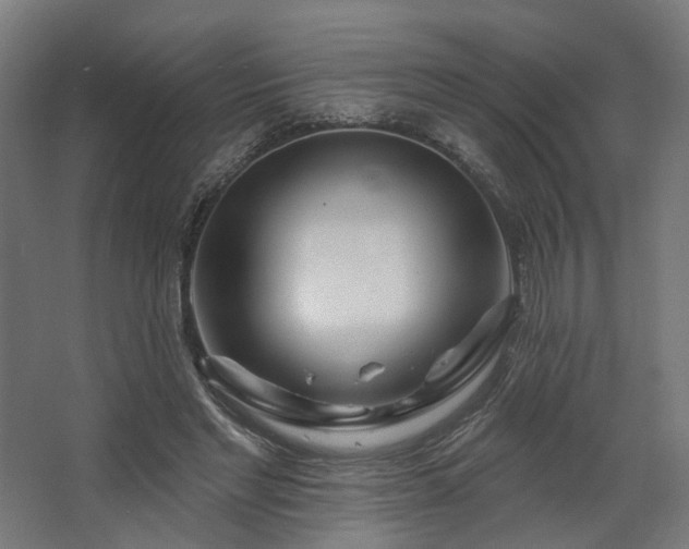 X0000067920493200604201434
