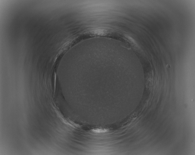 X0000067920500200604201434