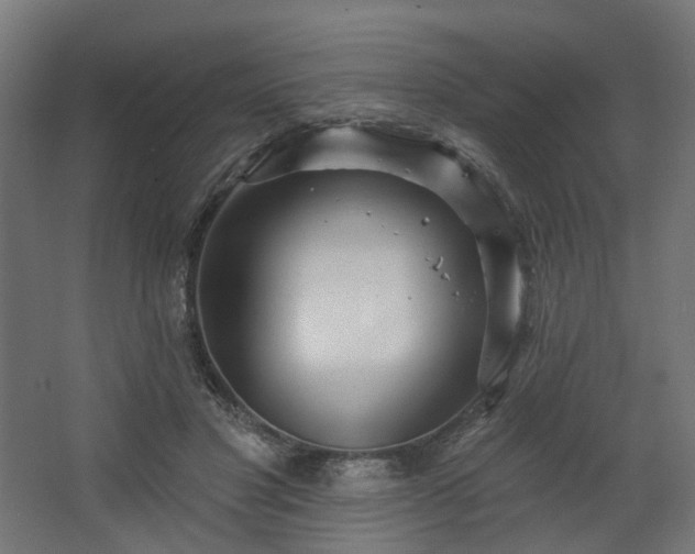 X0000067920501200604201434