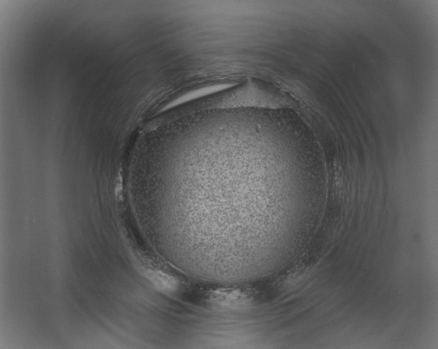 X0000067920502200604201434