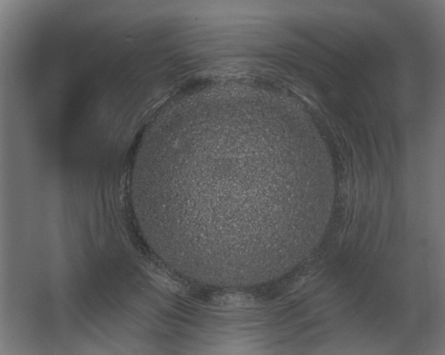 X0000067920503200604201434