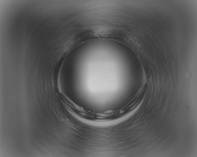 X0000067920508200604201434