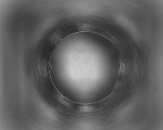 X0000067920525200604201433