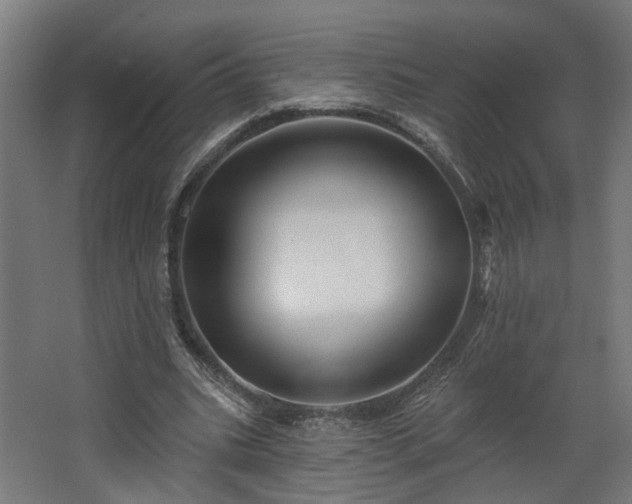 X0000067920535200604201433