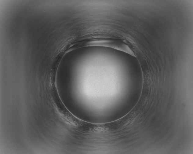 X0000067920546200604201433