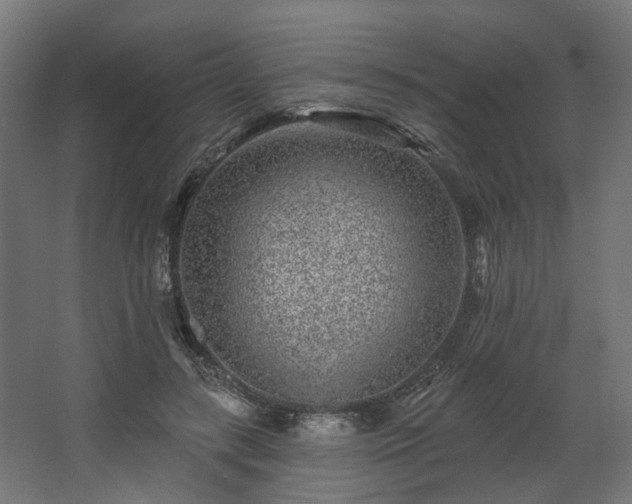 X0000067920547200604201433