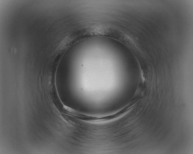 X0000067920548200604201433