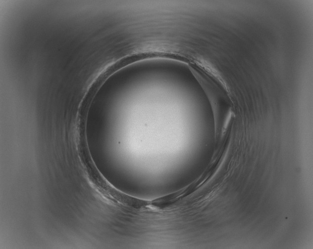 X0000067920580200604201433