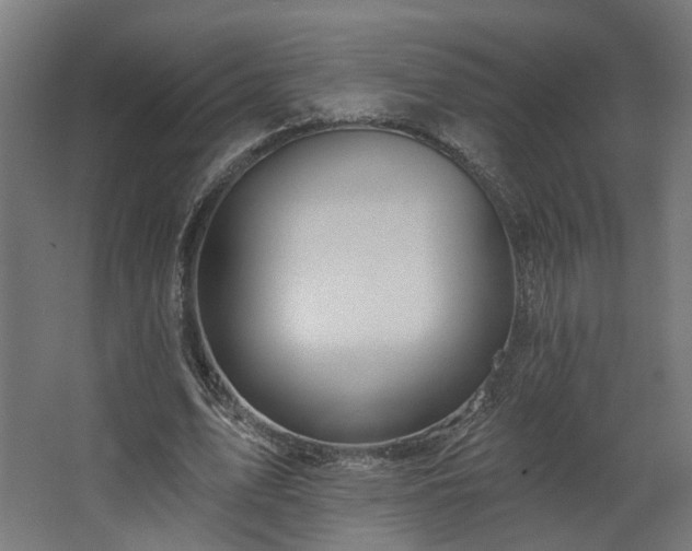 X0000067920583200604201433
