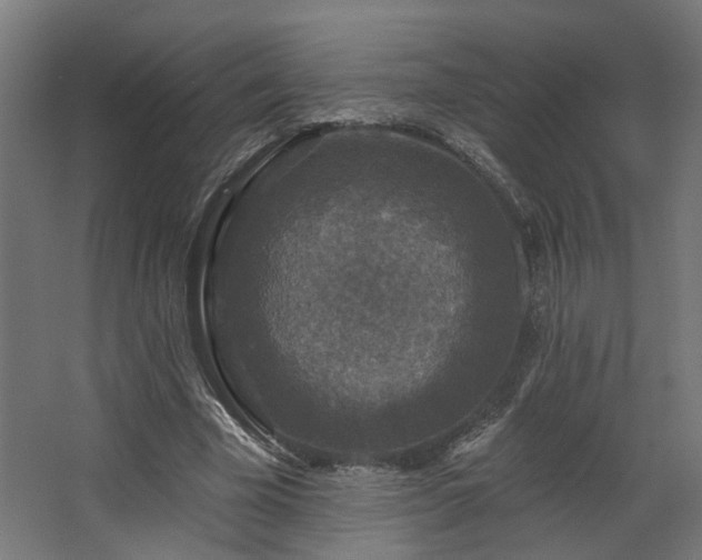 X0000067920585200604201432