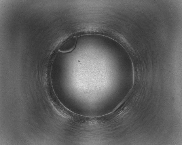 X0000067920588200604201432