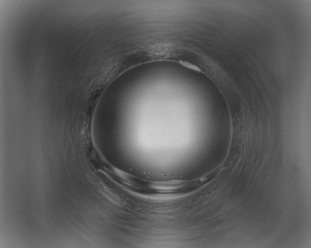 X0000067920601200604201432